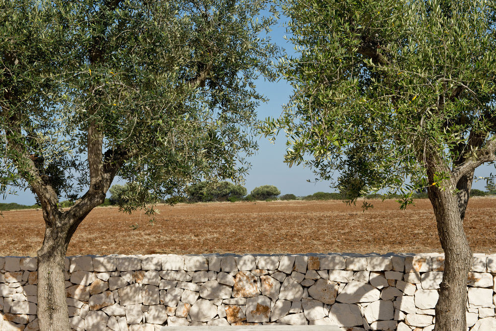 Grand Hotel Masseria Santa Lucia Ostuni Exterior foto